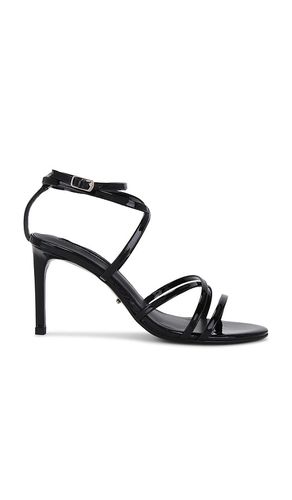 Majorca Sandal in Black. - size 10 (also in 5, 5.5, 6, 6.5, 7.5, 8, 8.5) - Tony Bianco - Modalova