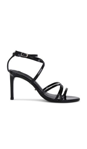 Majorca Sandal in Black. - size 10 (also in 6, 6.5, 8, 9) - Tony Bianco - Modalova