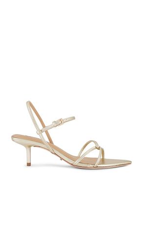 Florida Sandal in Metallic Gold. - size 5 (also in 5.5, 6, 6.5, 7, 7.5, 8, 8.5, 9, 9.5) - Tony Bianco - Modalova