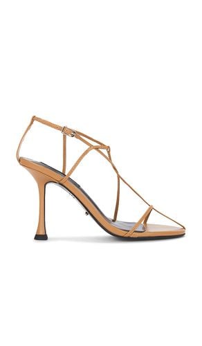 Lily Heel in Tan. - size 10 (also in 5, 5.5, 6, 6.5, 7, 7.5, 8, 8.5, 9, 9.5) - Tony Bianco - Modalova