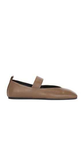 Hawaii Ballet Flat in Brown. - size 6 (also in 7, 7.5, 8, 8.5, 9) - Tony Bianco - Modalova