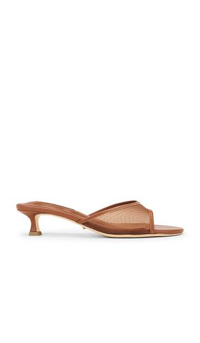 Pru Sandal in . - size 5.5 (also in 6, 6.5, 7, 7.5, 8, 8.5, 9, 9.5) - Tony Bianco - Modalova