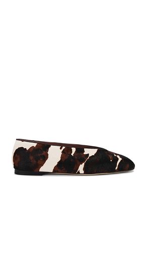 Bayley Flat in Brown. - size 6 (also in 7, 8, 9) - Tony Bianco - Modalova