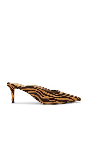 Drax Pump in Brown. - size 5.5 (also in 6, 6.5, 7, 7.5, 8, 8.5, 9) - Tony Bianco - Modalova