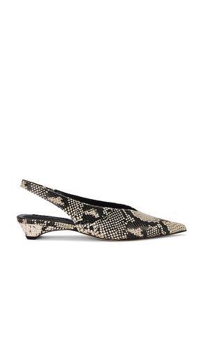 Esmae Pump in Beige. - size 5 (also in 6, 6.5, 7, 7.5, 8, 8.5, 9, 9.5) - Tony Bianco - Modalova