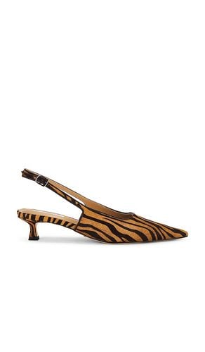 Crush Pump in Brown. - size 6 (also in 6.5, 7) - Tony Bianco - Modalova