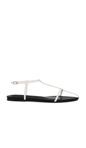Noho Sandal in . - size 10 (also in 5, 5.5, 6, 6.5, 7, 7.5, 8, 8.5, 9) - Tony Bianco - Modalova