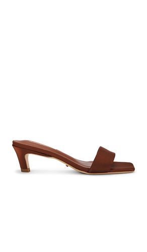 Taylor Sandal in Brown. - size 10 (also in 5, 5.5, 6, 6.5, 7, 7.5, 8, 8.5, 9) - Tony Bianco - Modalova