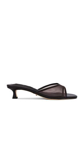 Pru Sandal in . Taglia 5.5, 6, 6.5 - Tony Bianco - Modalova