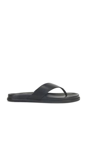 Loop Sandal in . - size 36 (also in 37, 38, 39, 40) - Tony Bianco - Modalova