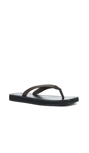 Kimba Sandal in . Size 37. Also in 38, 39 - Tony Bianco - Modalova
