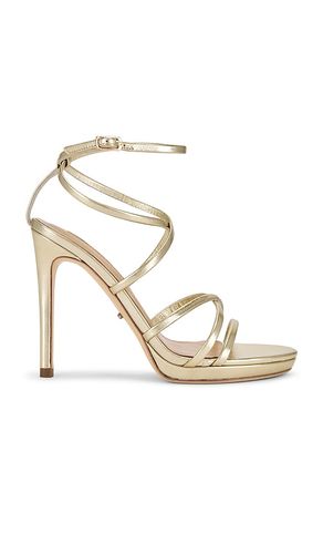 Sass Sandal in Metallic Gold. - size 10 (also in 5, 6, 6.5, 7, 7.5, 8, 8.5, 9, 9.5) - Tony Bianco - Modalova