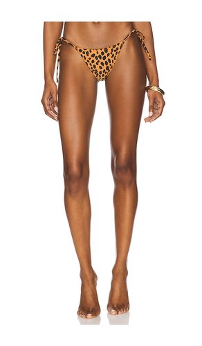 Praia Bikini Bottom in Brown. - size L (also in S, XS) - Tropic of C - Modalova