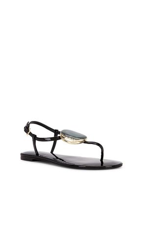 Patos Thong Sandal in . Size 6. Also in 6.5, 7, 7.5, 8, 8.5, 9, 9.5 - Tory Burch - Modalova