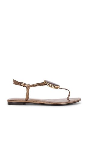SANDALE PATOS THONG in . Größe 10. Also in 6, 7, 7.5, 8, 8.5, 9, 9.5 - Tory Burch - Modalova