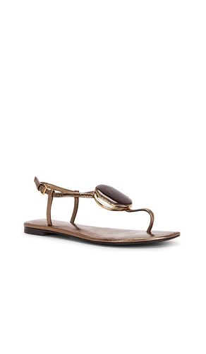 SANDALE PATOS THONG in . Größe 6. Also in 7, 7.5, 8, 8.5, 9.5 - Tory Burch - Modalova