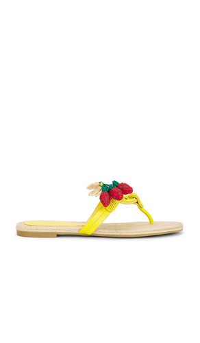ESPADRILLES MILLER BEADED in . Größe 10. Also in 6, 6.5, 7, 7.5, 8, 8.5, 9, 9.5 - Tory Burch - Modalova
