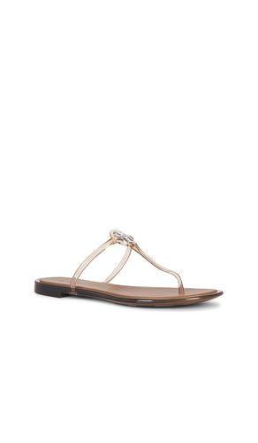 SANDALE MINI MILLER JELLY in . Größe 10. Also in 6, 7, 8, 9 - Tory Burch - Modalova