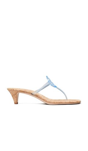 Miller Jelly Kitten Heel in . Size 6. Also in 7, 8, 9 - Tory Burch - Modalova