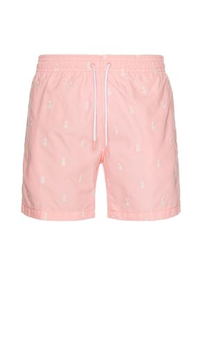 Sano 6.5 Swim Short in Pink. - size L (also in M, S) - Trunks Surf & Swim Co. - Modalova