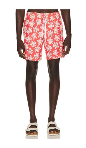 BOXER-SHORTS SANO in . Größe L. Also in M, S, XL/1X - Trunks Surf & Swim Co. - Modalova