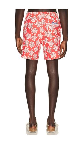 BOXER-SHORTS SANO in . Größe L. Also in M, S, XL/1X - Trunks Surf & Swim Co. - Modalova