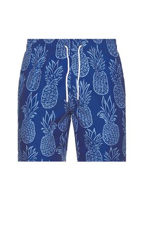 Sano 6.5 Swim Short in Blue. - size L (also in M, S, XL/1X) - Trunks Surf & Swim Co. - Modalova