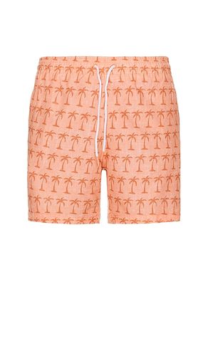 Sano 6.5 Swim Short in Orange. - size L (also in M, S, XL/1X) - Trunks Surf & Swim Co. - Modalova