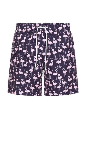 Sano 6.5 Swim Short in Purple. - size L (also in M, S) - Trunks Surf & Swim Co. - Modalova