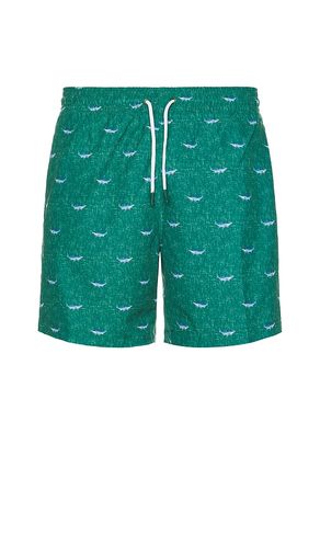 Sano 6.5 Swim Short in Army. - size L (also in M, S, XL/1X) - Trunks Surf & Swim Co. - Modalova