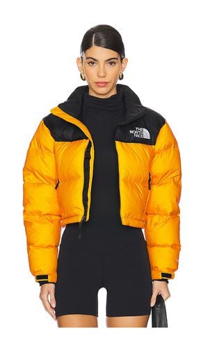 KURZE JACKE NUPTSE in . Size M, S, XS - The North Face - Modalova