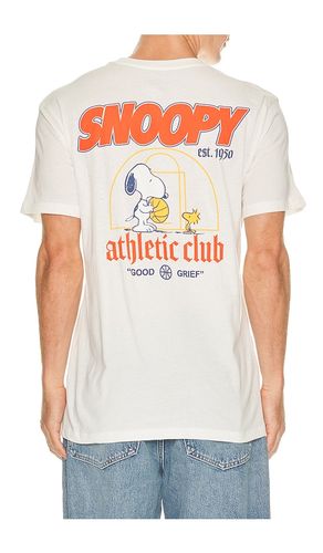 Peanuts Athletic Tee in . Size L. Also in M, S, XL/1X, XS - The Forecast Agency - Modalova