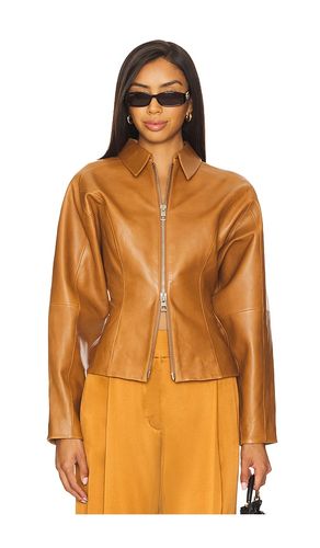 Fitted Leather Jacket in Brown. - size 0 (also in 2, 4, 6, 8) - The Sei - Modalova