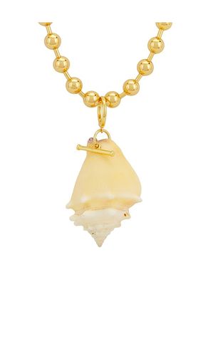 Shell Necklace in - Timeless Pearly - Modalova