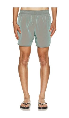 Wild Swim Short in . Size S. Also in M, L, XL/1X, XXL/2X - True Tribe - Modalova
