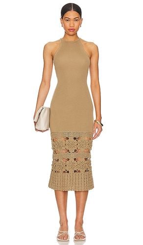 Finley Crochet Midi Dress in . - size L (also in M, S, XS) - Tularosa - Modalova