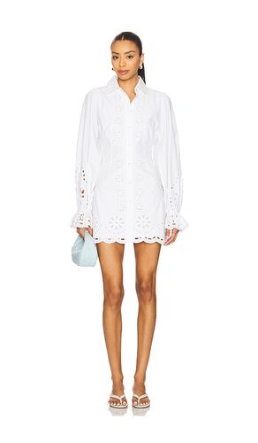 Tessia Mini Dress in . - size M (also in XS, XXS) - Tularosa - Modalova