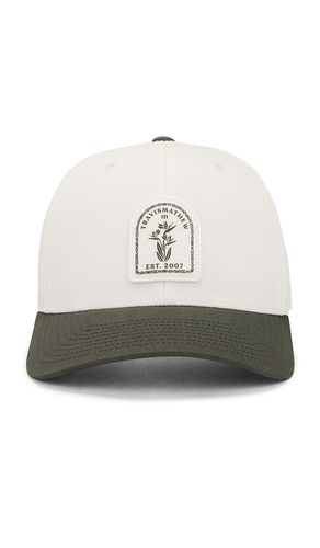 Fire Mountain Hat in Cream - TravisMathew - Modalova