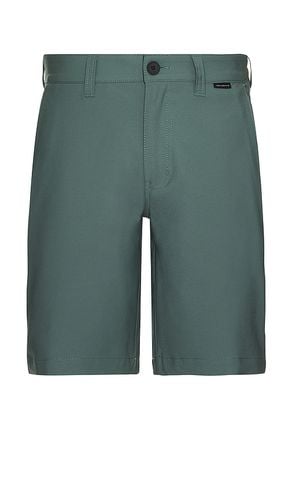 Wanderlust Short in Sage. - size 30 (also in 34, 36) - TravisMathew - Modalova