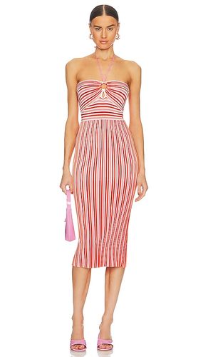 Valena Halter Knit Dress in . Size M, S, XS - AMUR - Modalova