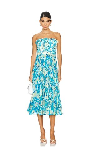 Scottie Strapless Midi Dress in . Size 2 - AMUR - Modalova