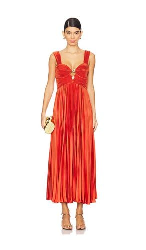 Gisella Midi Dress in Burnt Orange. - size 0 (also in 10, 2, 4, 6, 8) - AMUR - Modalova