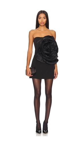 Legacy Rosette Mini Dress in . - size 2 (also in 4) - AMUR - Modalova