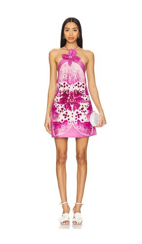 Everlee Orchid Print Mini Dress in . Size 10, 12, 2, 4, 6 - AMUR - Modalova