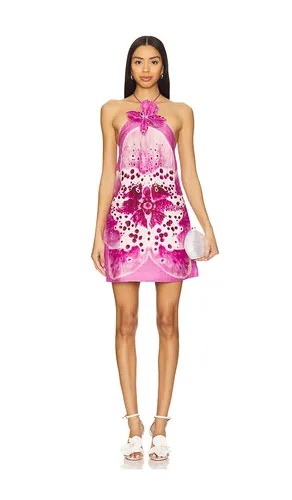 Everlee Orchid Print Mini Dress in . Size 10. Also in 2, 6, 8 - AMUR - Modalova