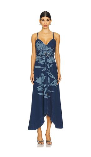 Dana Denim Midi Dress in Blue. - size 0 (also in 00, 12, 2, 4, 8) - AMUR - Modalova