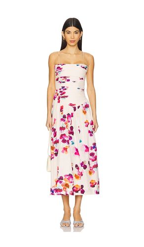 Michele Midi Dress in Cream. - size 00 (also in 10, 12, 4, 6) - AMUR - Modalova