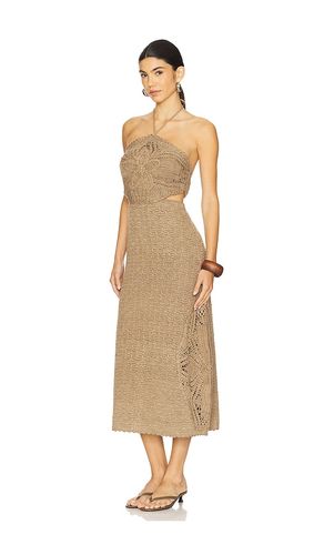 STRICK MIDIKLEID CLARA in . Größe L. Also in M, S - AMUR - Modalova