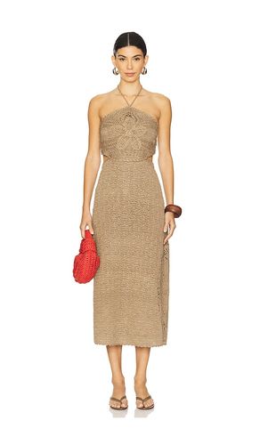 STRICK MIDIKLEID CLARA in . Größe L. Also in M - AMUR - Modalova