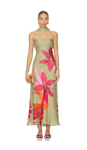 KLEID PALMA in . Größe 2. Also in 6 - AMUR - Modalova